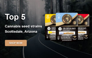 buy-top-cannabis-seeds-Scottsdale