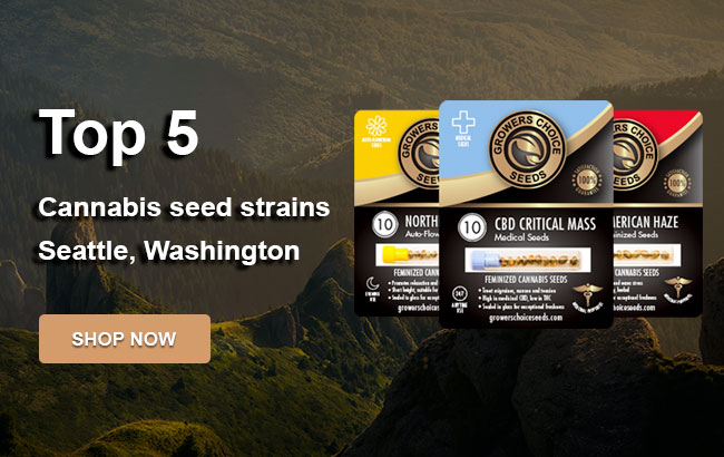 Top 5 Cannabis Seeds in Seattle in 2022