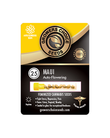 Deliver Maui Auto Flowering Feminized Cannabis Seeds 25 Package