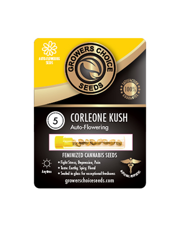 Shop Corleone Kush Auto Flowering Feminized Cannabis Seeds 5 Package