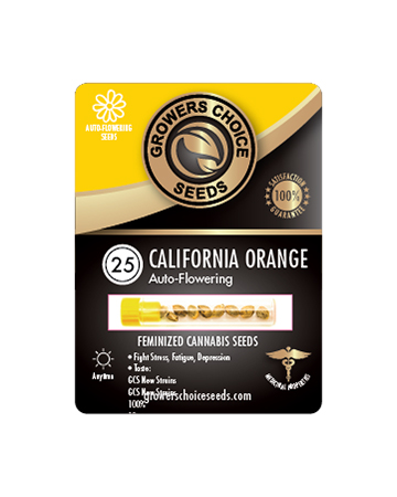 Try California Orange Auto Flowering Feminized Cannabis Seeds 25 Package