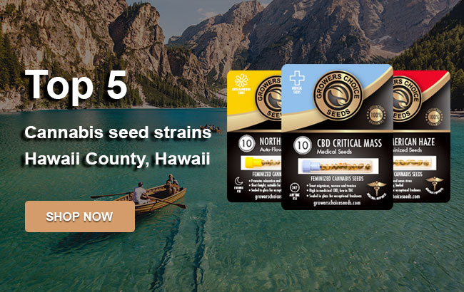 buy-top-cannabis-seeds-Hawaii-County