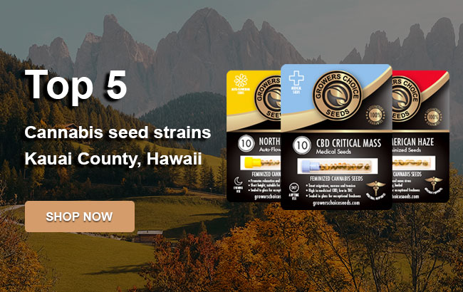 Top 5 Cannabis Seeds in Kauai County in 2023