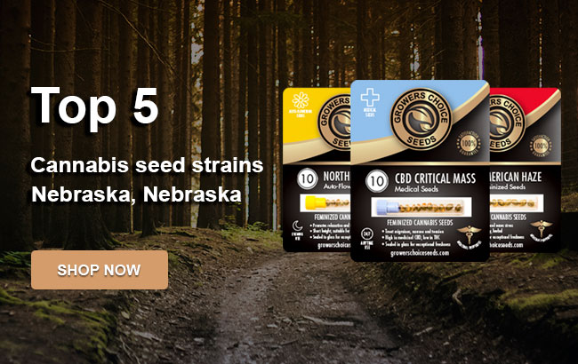 Top 5 Cannabis Seeds in Nebraska in 2023