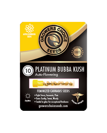 order Platinum Bubba Kush Auto-Flowering Feminized Cannabis Seeds
