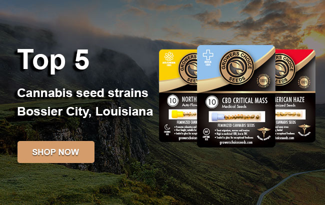 Top 5 Cannabis Seeds in Bossier City in 2023