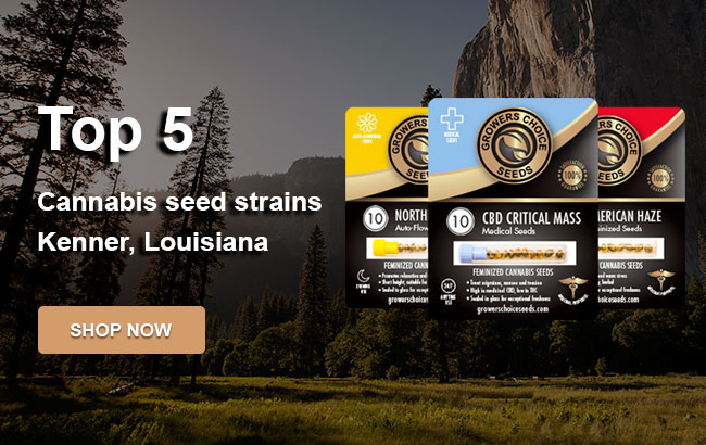 Top 5 Cannabis Seeds in Kenner in 2023