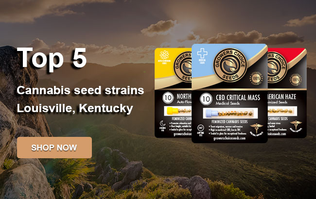 Top 5 Cannabis Seeds in Louisville in 2023
