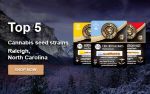 buy-top-cannabis-seeds-city-Raleigh
