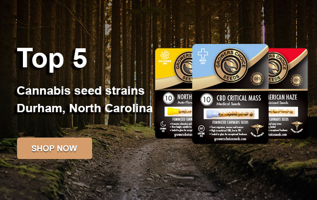 Top 5 Cannabis Seeds in Durham in 2023