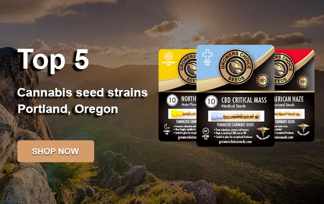 Top 5 Cannabis Seeds in Portland in 2023
