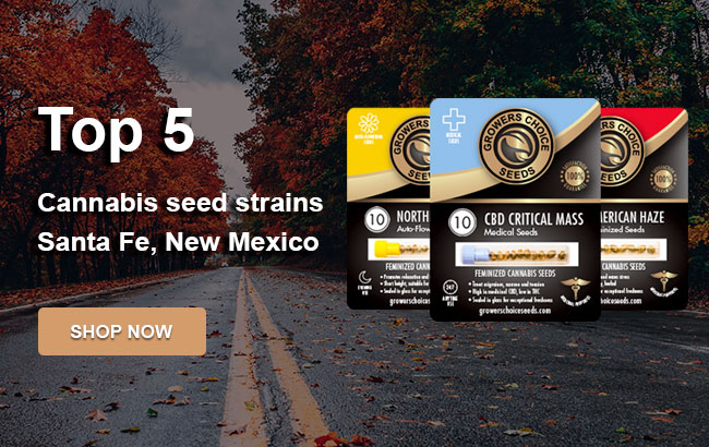 Top 5 Cannabis Seeds in Sante Fe in 2023