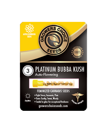 get Platinum Bubba Kush Auto-Flowering Feminized Cannabis Seeds