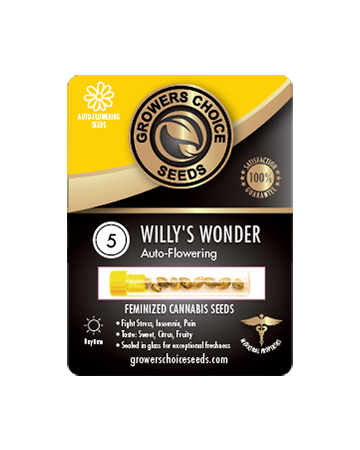 try Willy's Wonder Auto-Flowering Feminized Cannabis Seeds
