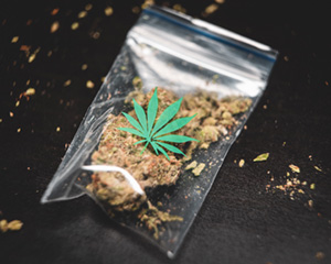 Are Marijuana Seeds Illegal