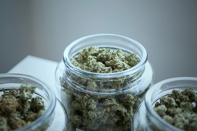 Cannabis nugs in a glass jar