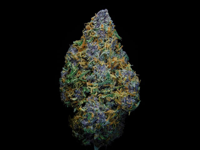 Purple and green cannabis nug against a black background