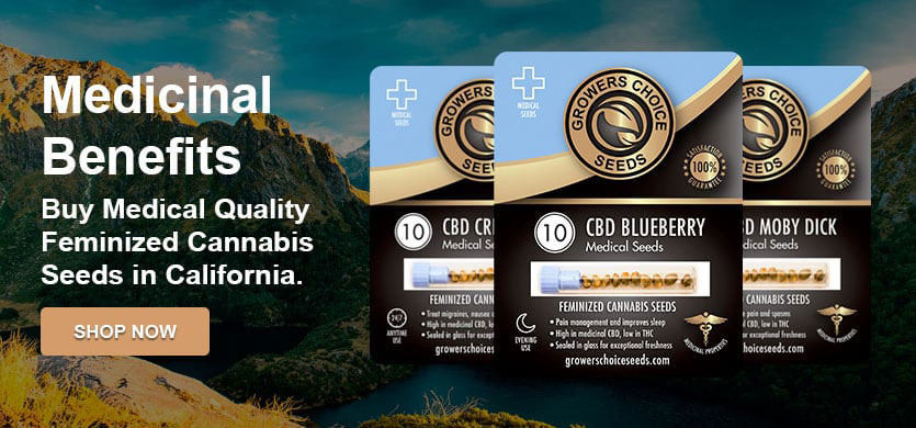 Shop high CBD medical seeds in california