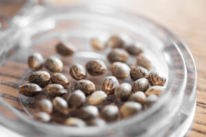 Cannabis seeds in a glass container