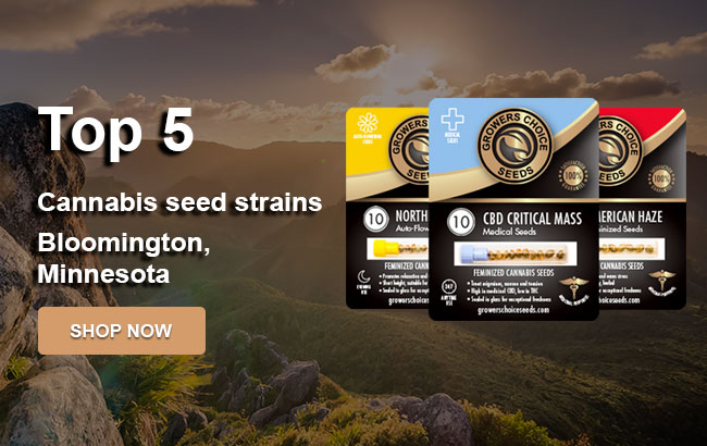 Top 5 Cannabis Seeds in Bloomington in 2023