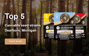 buy-top-cannabis-seeds-Dearborn