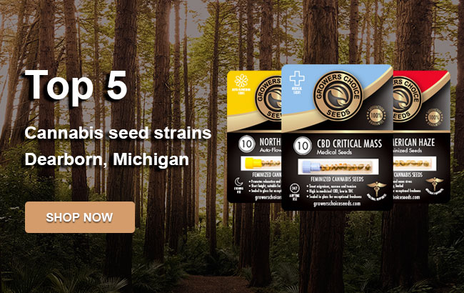 Top 5 Cannabis Seeds in Dearborn in 2023