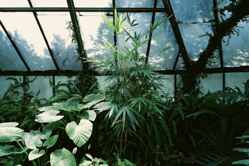 Picking a safe space for your marijuana plants to grow