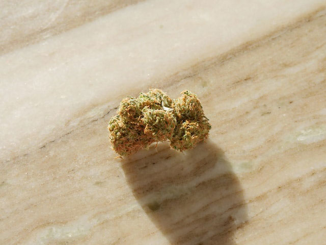 Cannabis bud on a wooden table