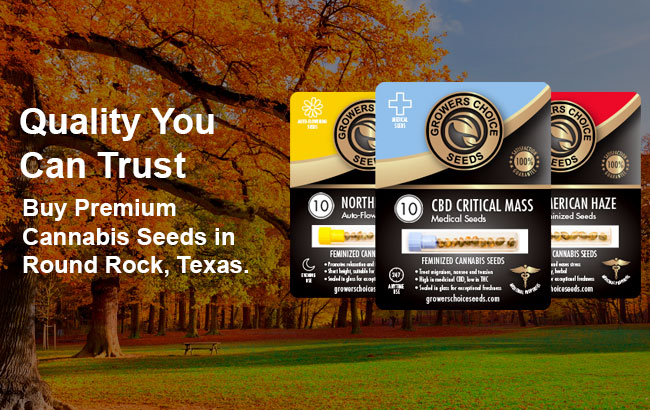 buy cannabis seeds in Round Rock