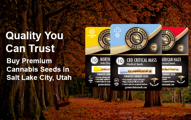 buy the best cannabis seeds in Salt Lake City