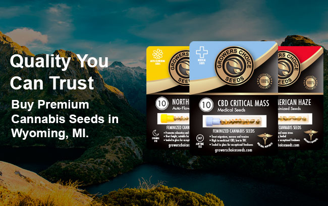 cannabis seeds delivery in Wyoming