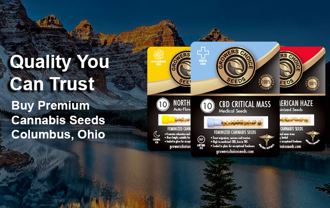 the best cannabis seeds for sale in Columbus