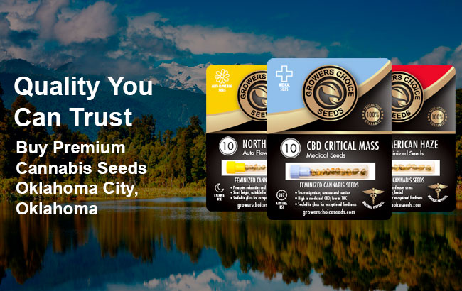 Oklahoma City Cannabis Seeds