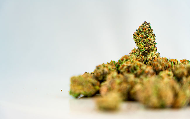 Ground up cannabis flower
