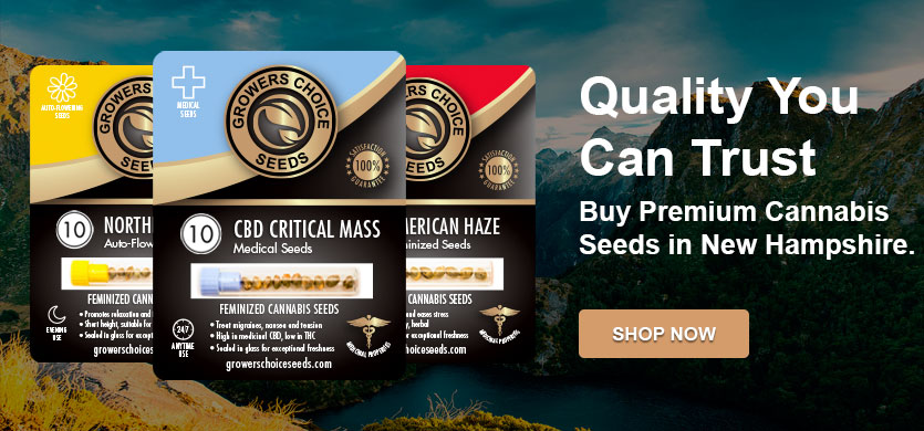 buy cannabis seeds in New Hampshire