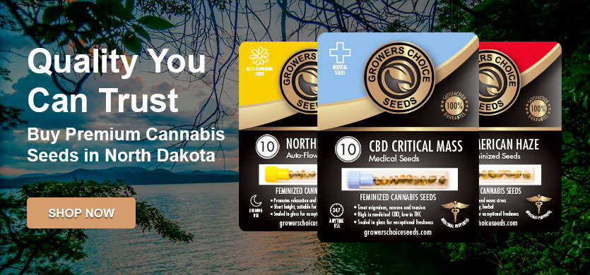buy the best cannabis seeds in North Dakota