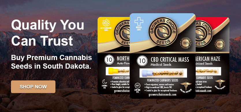 buy cannabis seeds in south dakota