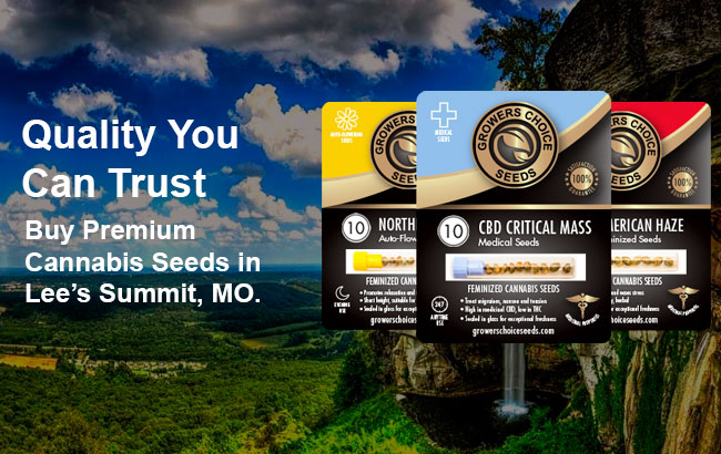 buy cannabis seeds in Lee’s Summit