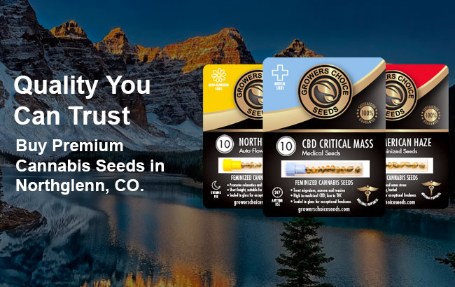 Buy cannabis seeds in Northglenn Colorado