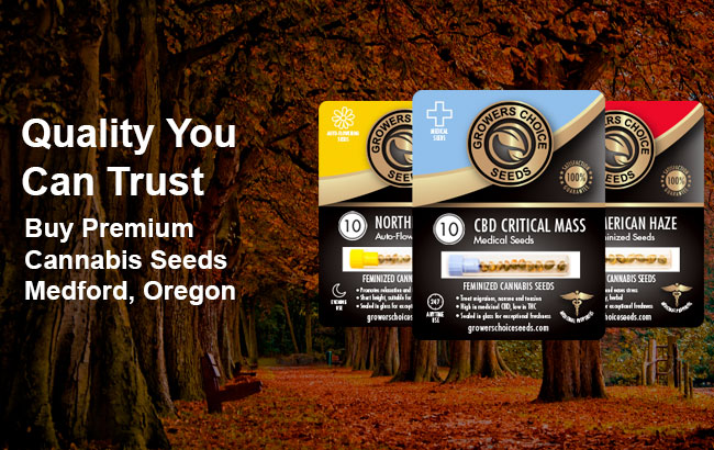 Buy Medford Oregon Cannabis Seeds