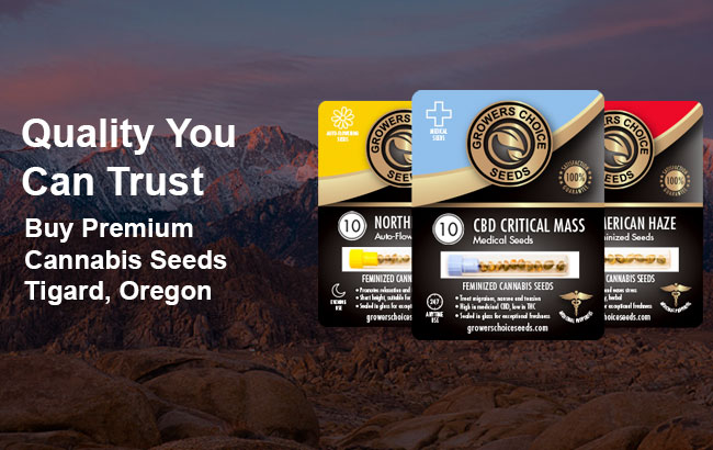 Buy Tigard Cannabis Seeds in Oregon