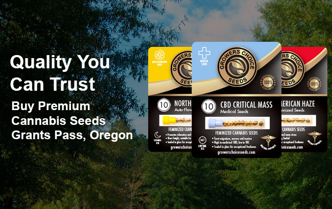 Buy Grants Pass Cannabis Seeds in Oregon