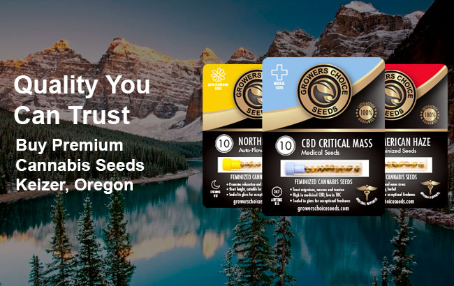 Buy Keizer Cannabis Seeds in Oregon