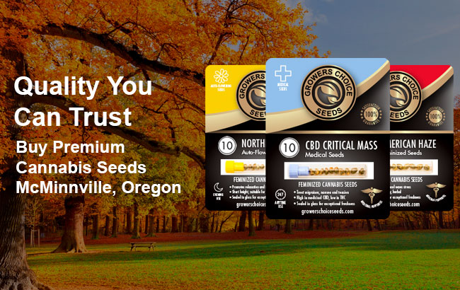 Buy McMinnville Cannabis Seeds in Oregon