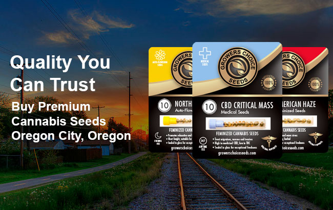 Buy Oregon City Cannabis Seeds in Oregon
