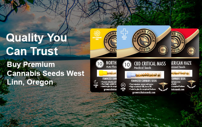 Buy West Linn Cannabis Seeds in Oregon