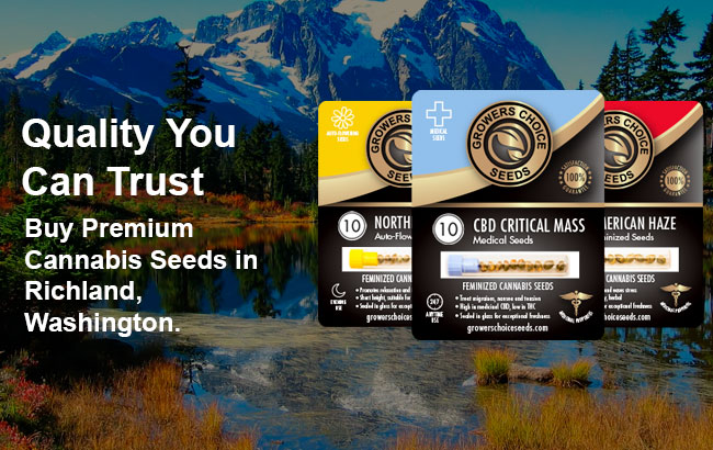 Cannabis Seeds For Sale in Richland Washington