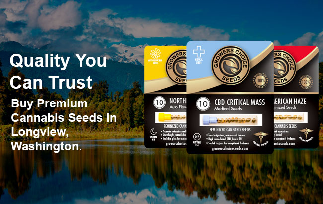 Cannabis Seeds For Sale in Longview Washington