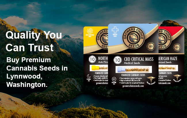 Buy Cannabis Seeds For Sale in Lynnwood