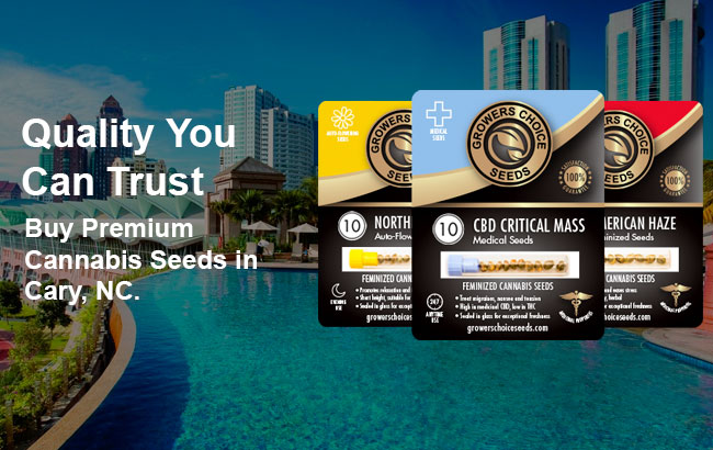 buy cannabis seeds in cary, north carolina